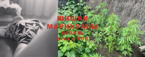 мдпв Валдай