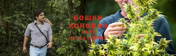 мет Осташков