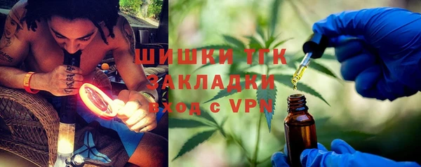твердый Осинники