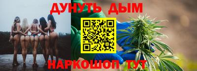 шишки Будённовск