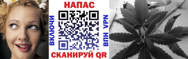 Бошки Шишки OG Kush  площадка как зайти  Губкинский 