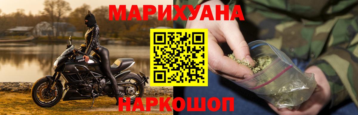Каннабис план Губкинский